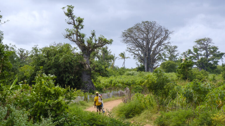 Marwa Mohamed Fathi El Chazly - 03-zanzibar